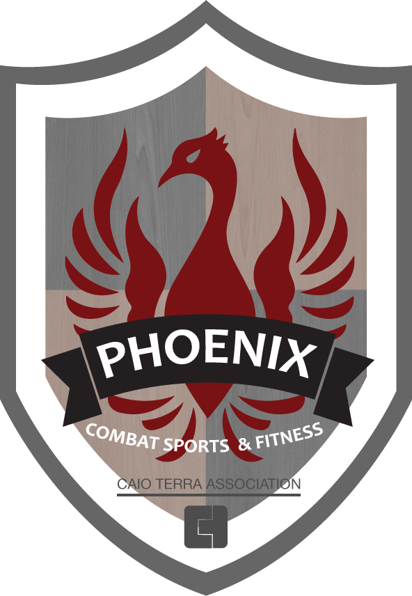 PhoenixShield_FINAL2