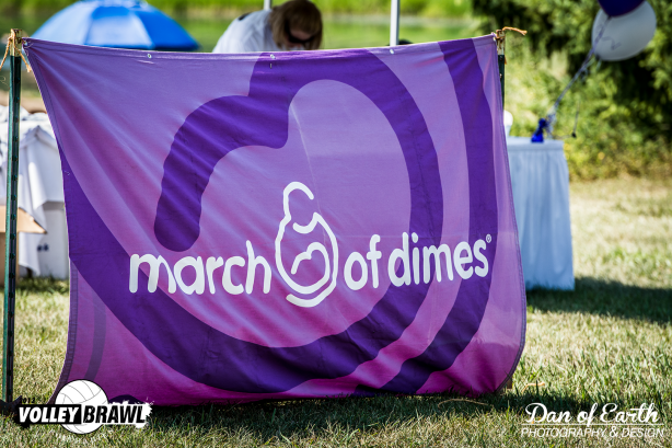 VolleyBrawl 118
