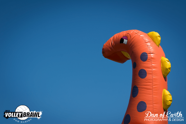 VolleyBrawl 455